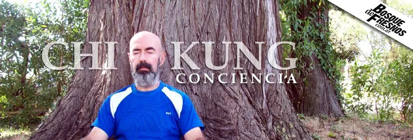 Chi Kung Conciencia: Un camino de auto descubrimiento